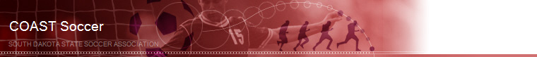 Chamberlin Soccer - 01 banner